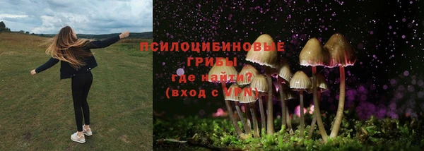 марки lsd Балабаново