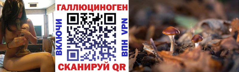 Галлюциногенные грибы GOLDEN TEACHER Белоусово